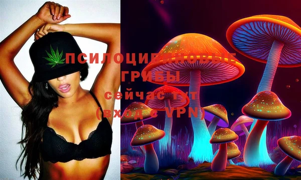 apvp Абинск
