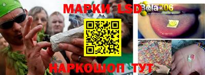 индика Кулебаки