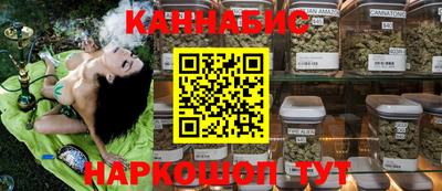 индика Кулебаки