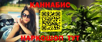 индика Кулебаки