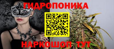 индика Кулебаки
