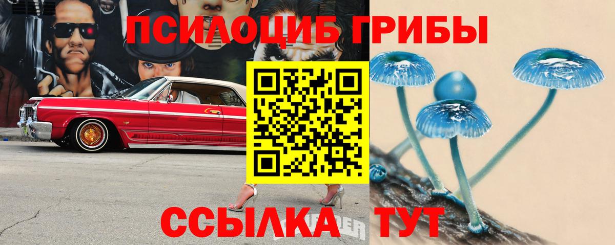 Галлюциногенные грибы ЛСД Красноармейск